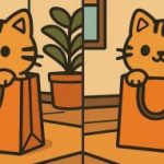 Teste de QI: encontrar 3 diferenças numa fotografia de um