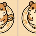 Teste de QI: encontrar 3 diferenças numa imagem de um