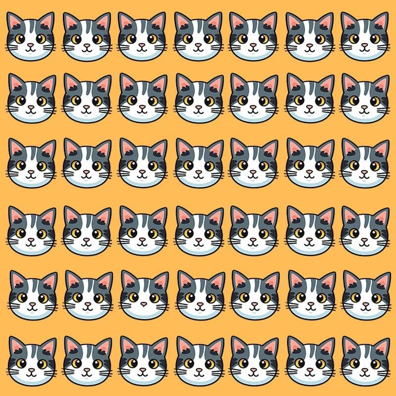 Esta ilusão de ótica só é possível para pessoas com um QI grandioso / imagem Moje