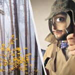 Apenas 2% das pessoas conseguem encontrar um esquilo na floresta