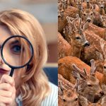 Encontrar três cabras entre os veados em 11 segundos: uma